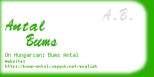 antal bums business card